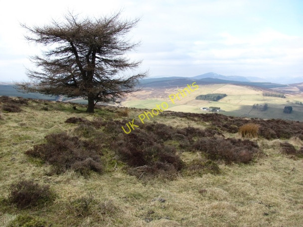Photo 6"x4" On Balduff Hill Bridge of Craigisla c2011