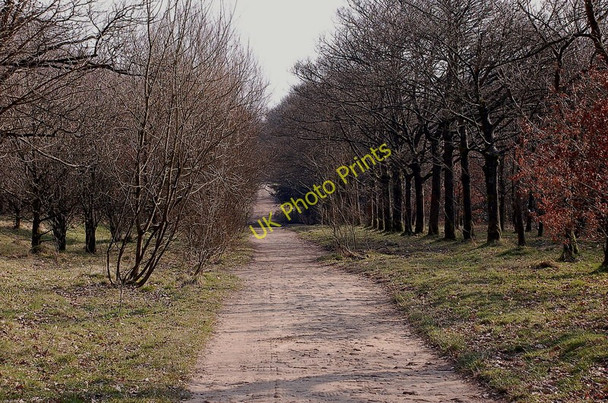 Photo 6"x4" Track in Rivington Country Park Horwich c2011