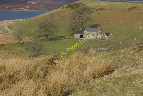 Photo 6"x4" Hafoty Sion Llwyd Hafoty Si\u00f4n Llwyd c2011