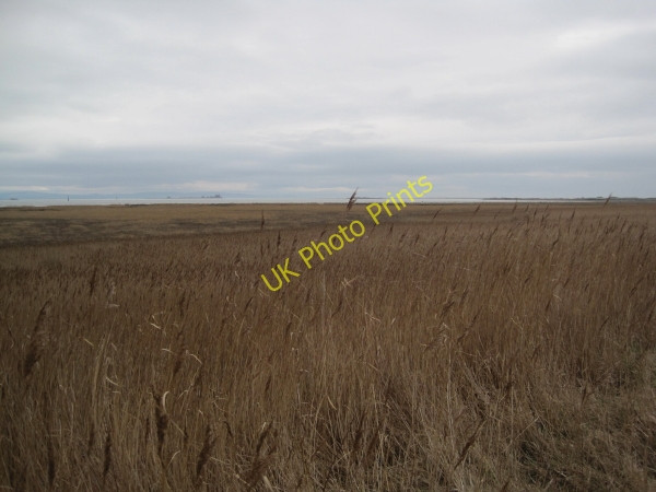 Photo 6"x4" Creepshaw Marsh, Walney Island Biggar\/SD1966 c2011