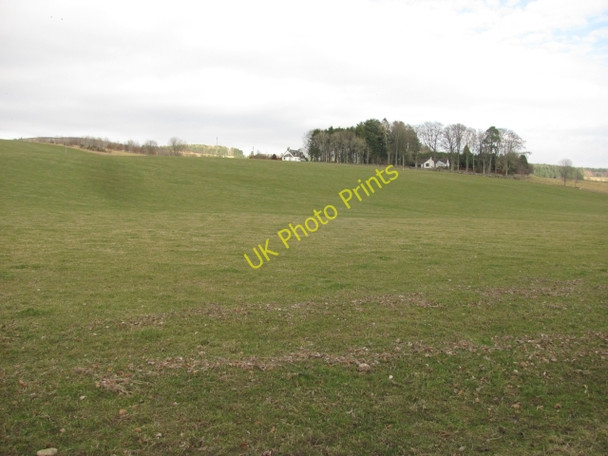 Photo 6"x4" Grass field, Kilry Lodge Bridge of Craigisla c2011