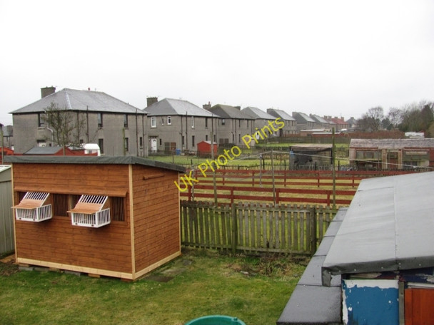 Photo 6"x4" Back greens, Blackburn Blackburn\/NS9865 c2011
