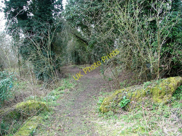Photo 6"x4" Bridleway skirting Furze Hill, Tharston Low Tharston c2011
