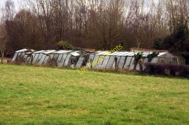 Photo 6"x4" Dilapidated greenhouse near Cothill Cothill\/SU4699 c2011