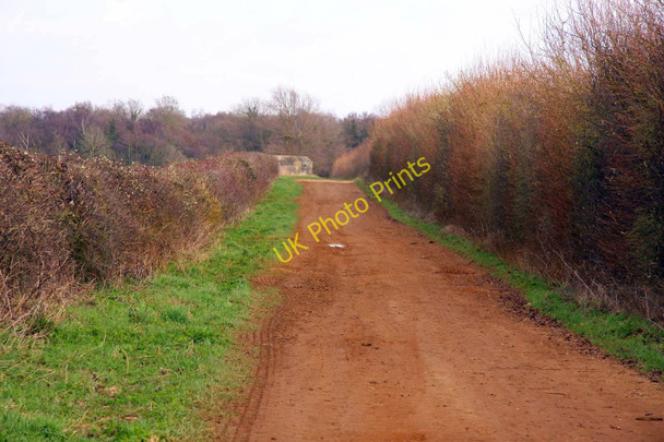 Photo 6"x4" Cow Lane Gozzard's Ford c2011
