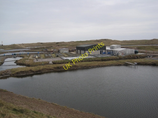 Photo 6"x4" Walney Oyster Farm Roa Island c2011