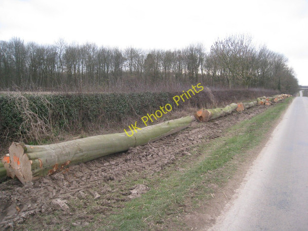Photo 6"x4" Timber from Etton West Wood Gardham c2011