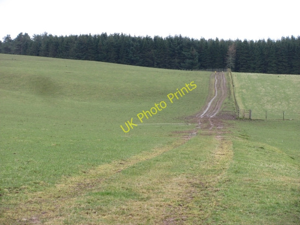 Photo 6"x4" Track under Broomy Law Edmonston c2011