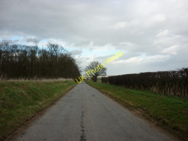 Photo 6"x4" Whitton Road at Willwick Hill Plantation Whitton\/SE9024 c2011