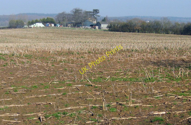 Photo 6"x4" Oilseed rape stubble Beavan's Hill c2011