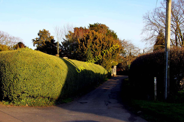 Photo 6"x4" The road to the Manor House Long Crendon c2011