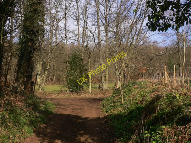 Photo 6"x4" Bridleway reaches Lombard Street Shacklford c2011