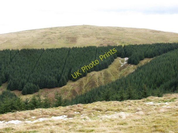 Photo 6"x4" Hawkwood Hill Wandel Dyke c2011