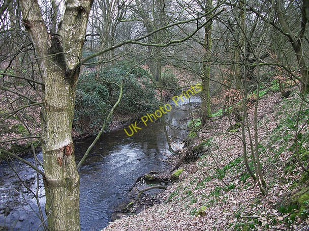 Photo 6"x4" Trubb Brook in Hopwood Clough Middleton\/SD8706 c2011