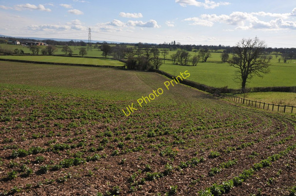 Photo 6"x4" Arable land at Kent's Green Kent's Green c2011