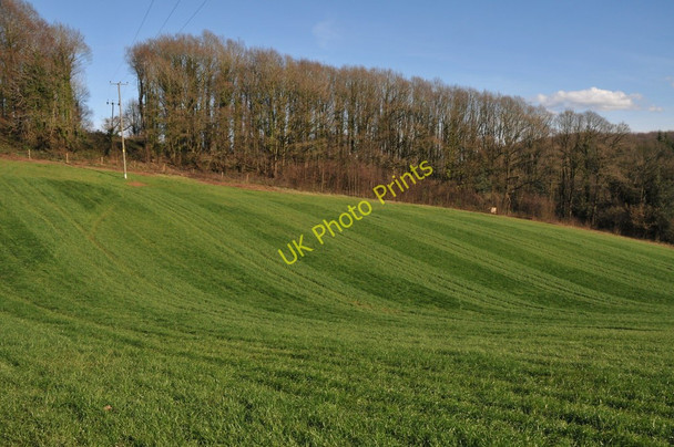 Photo 6"x4" Field and woodland, Glasshouse Glasshouse c2011