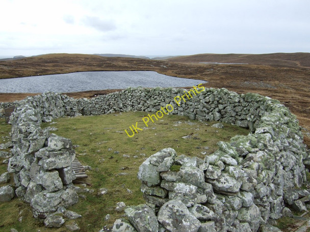 Photo 6"x4" Oxnapund Cro Brunatwatt c2011