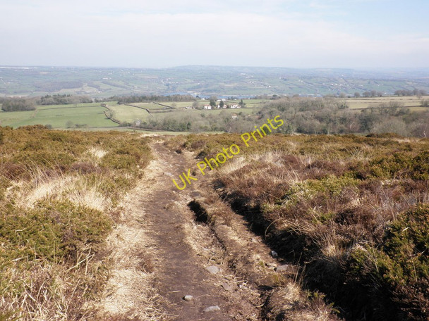 Photo 6"x4" View from the hilltop path, towards Lower Ellick Farm Bourne\/ST4859 c2011