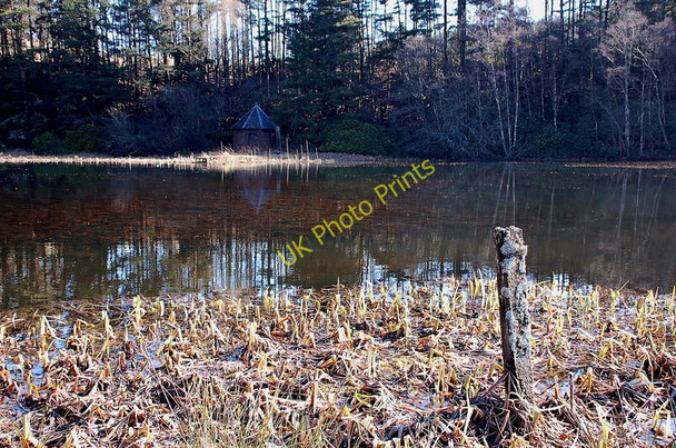 Photo 6"x4" Low Pond, Penicuik Estate Penicuik c2011