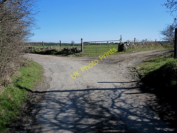 Photo 6"x4" Road & Lane Cullahill c2011