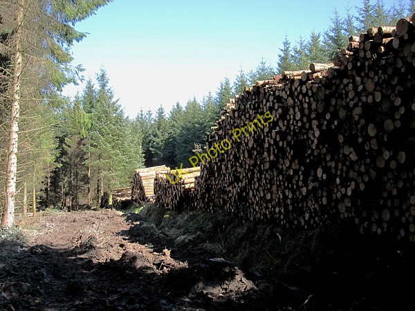 Photo 6"x4" Stacked Logs Cullahill c2011