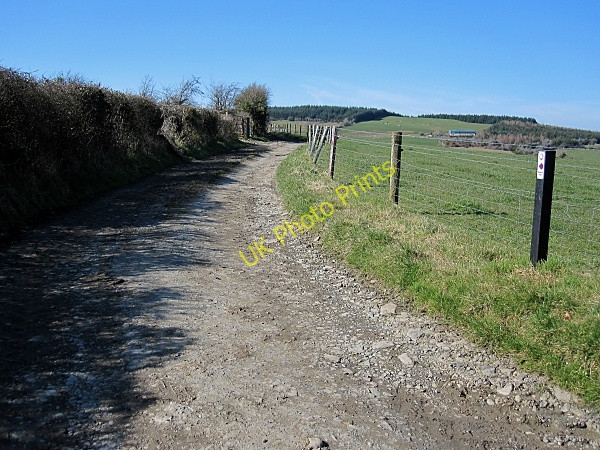 Photo 6"x4" Country Lane Cullahill c2011