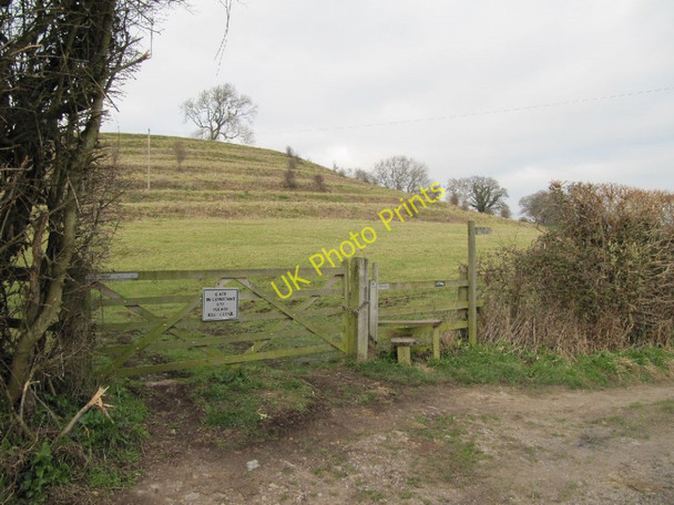 Photo 6"x4" National Trust area Glastonbury c2011