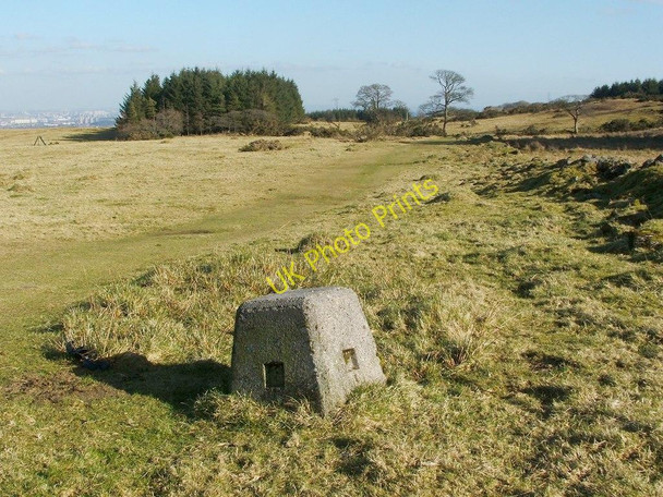 Photo 6"x4" Gleniffer Braes Country Park Foxbar c2011