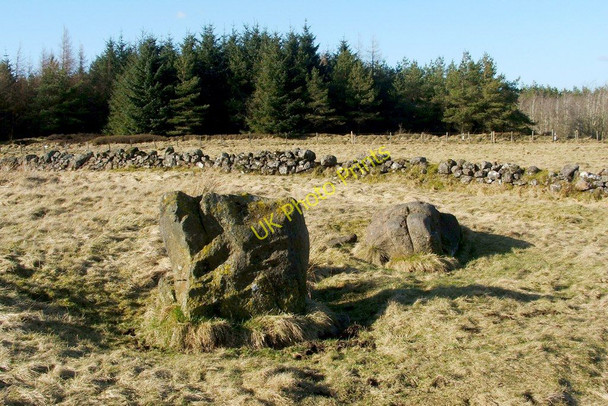 Photo 6"x4" Standing stones at Gleniffer Braes Johnstone\/NS4362 c2011 P1