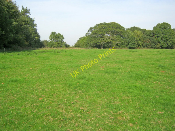 Photo 6"x4" Grazing land on the Stowe Estate Lillingstone Dayrell c2010