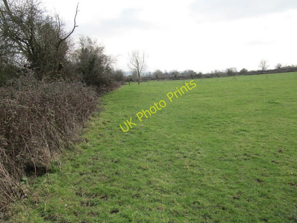 Photo 6"x4" Footpath along the hedge Glastonbury c2011