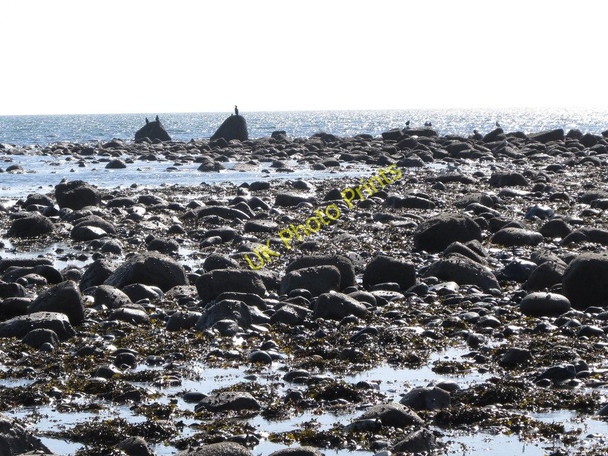 Photo 6"x4" Morainic deposits uncovered at low tide north of the Kilkeel harbour entrance Kilkeel c2011