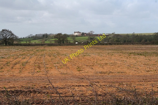Photo 6"x4" Sprayed Field Chaceley c2008