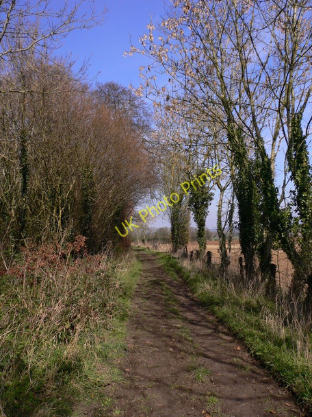 Photo 6"x4" Footpath to Crondall Crondall c2011