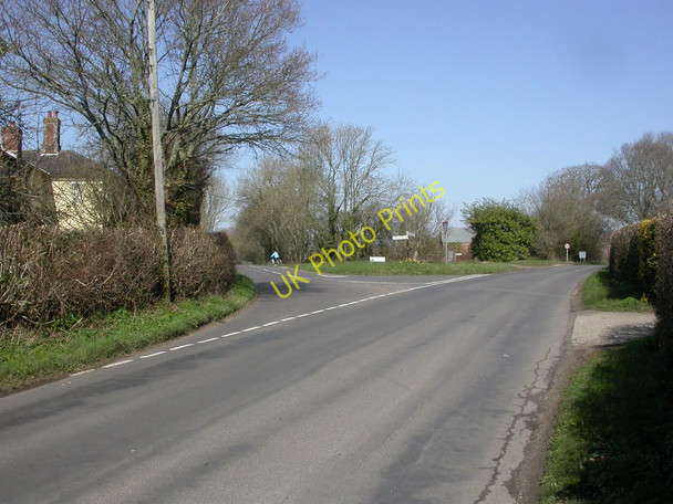 Photo 6"x4" Pig Oak, road junction Holt\/SU0203 c2011