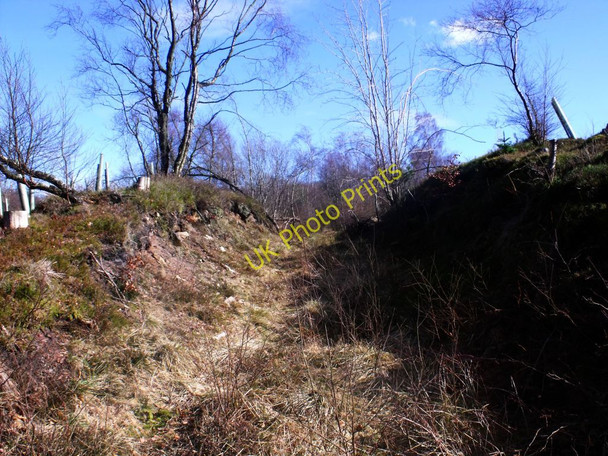 Photo 6"x4" Glencryan tram road Cumbernauld c2011