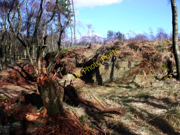 Photo 6"x4" Glencryan woods Cumbernauld c2011