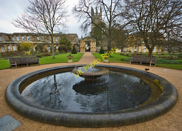 Photo 6"x4" Oxford Botanic Gardens Oxford\/SP5106 c2011