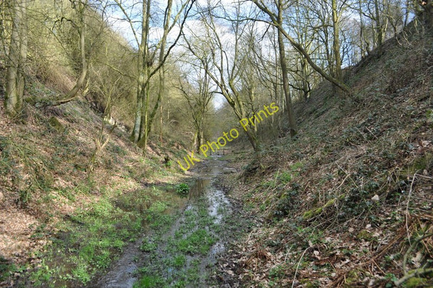 Photo 6"x4" Duckmanton Railway Cutting Arkwright Town c2011
