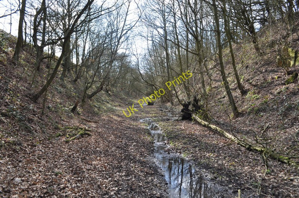 Photo 6"x4" Duckmanton Railway Cutting Arkwright Town c2011
