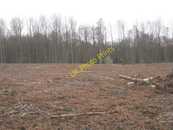 Photo 6"x4" View to a shooting cabin Elsham c2011