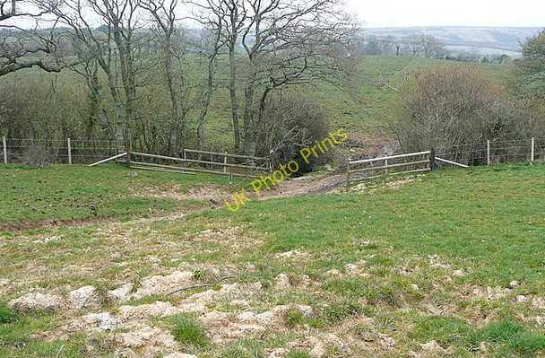 Photo 6"x4" Bridleway to Woolgarston Harman's Cross c2011