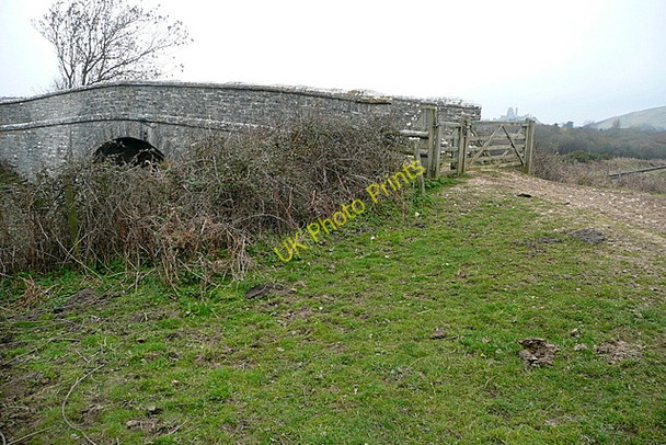 Photo 6"x4" Bridge on Corfe Common Corfe Castle c2011