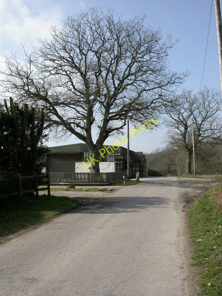 Photo 6"x4" Woodlands, vegetable wholesalers Sutton Holms c2011