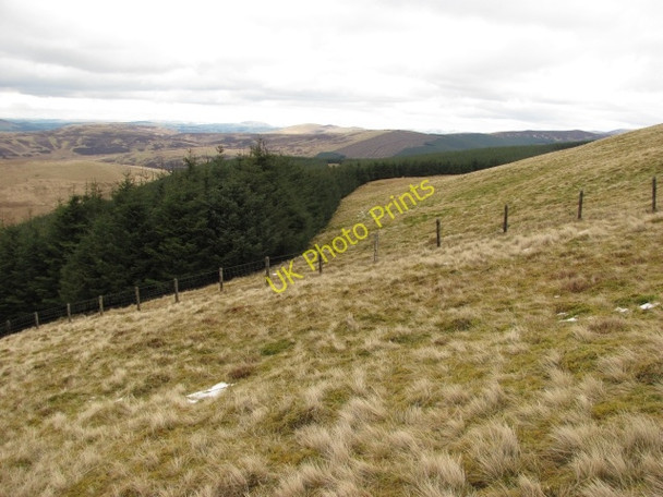 Photo 6"x4" Forest edge, Tewgill Hill Wandel Dyke c2011
