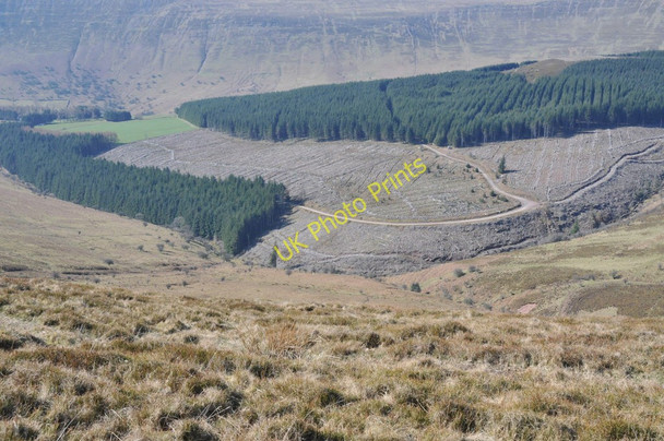Photo 6"x4" Partially felled forestry Pen Garreg c2011