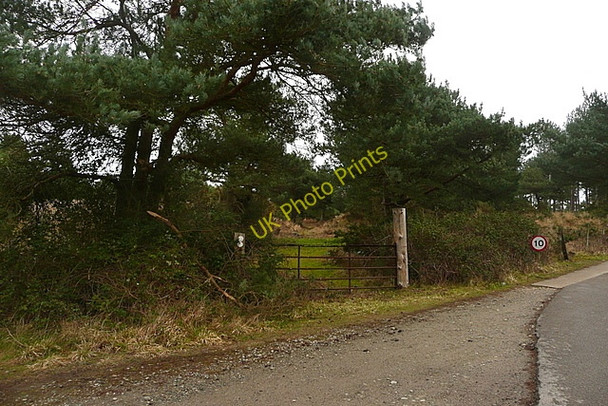 Photo 6"x4" Route of former tramway Bushey\/SY9883 c2011