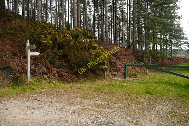Photo 6"x4" Footpath to Ower Farm Bushey\/SY9883 c2011