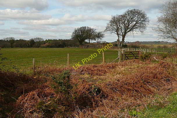Photo 6"x4" Farmland near Wytch Heath Bushey\/SY9883 c2011