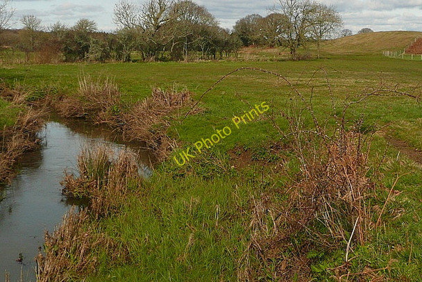 Photo 6"x4" Corfe River Bushey\/SY9883 c2011